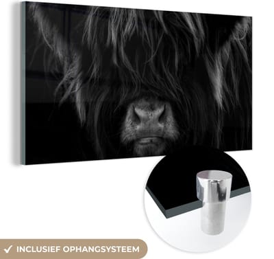 MuchoWow® Glasschilderij 120x60 cm - Schilderij acrylglas - Schotse Hooglander - Koe - Portret - Dieren - Zwart - Wit - Foto op glas - Schilderijen