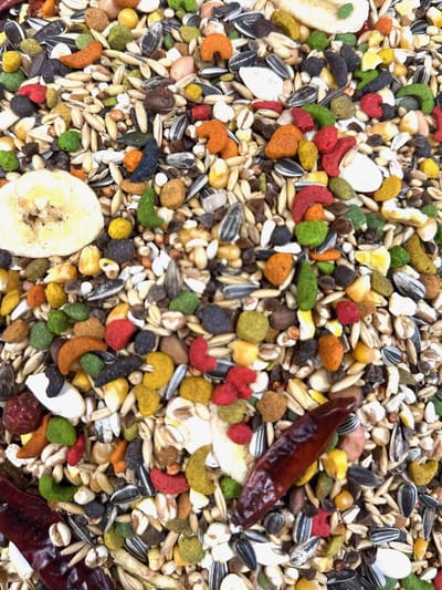 AviCentric Premium Amazone & Kaketoe Zaad – 2x 2 kg – Met ZuPreem Pellets, Gedroogd Fruit, Pepers & Bessen – Complete Papegaaienmix