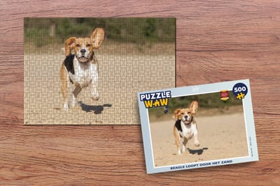 Puzzel Beagle loopt door het zand - Legpuzzel - Puzzel 500 stukjes