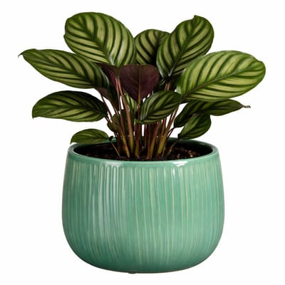 Mica Decorations Plantenpot - keramiek - groen glans / ribbels - D21 x H19 cm - bloempot Pablo