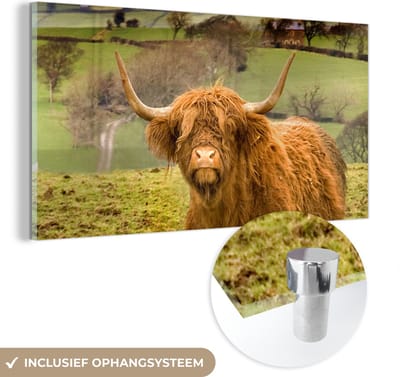 MuchoWow® Glasschilderij 40x20 cm - Schilderij acrylglas - Schotse Hooglander - Berg - Herfst - Foto op glas - Schilderijen