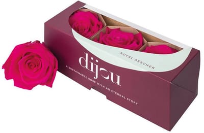3x Dc pres.rozen fuchsia 2395c