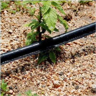 Druppelslang - Irrigatieslang - Planten Water Geven - Labyrint Ontwerp - 300M - Zwart