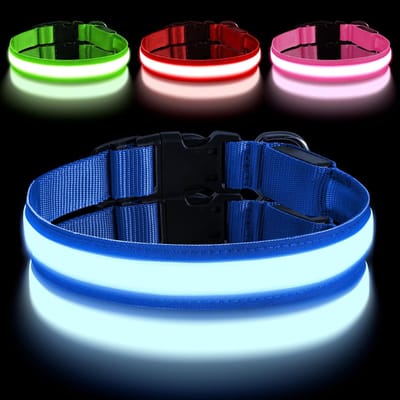 Oplaadbare led-halsband voor honden, met type-C-aansluiting, verstelbare led-hondenhalsband met 3 verlichtingsmodi, waterdicht, voor kleine, middelgrote en grote honden (M, blauw)