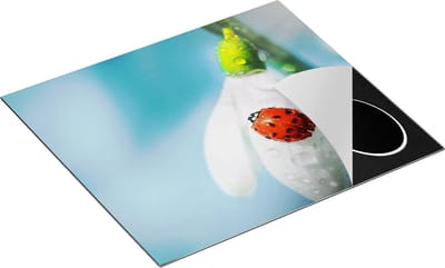 Chefcare Inductie Beschermer Lieveheersbeestje op een Sneeuwklokje Bloem - 60x50 cm - Afdekplaat Inductie - Kookplaat Beschermer - Inductie Mat