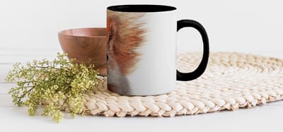 Magische Mok - Foto op Warmte Mokken - Koffiemok - Eekhoorn - Dieren - Natuur - Oranje - Wit - Magic Mok - Beker - 350 ML - Theemok