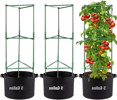 Set van 3 Vierkante Tomatensteunen met 5 Gallon Groentassen, Tuinplant Steunpalen voor Verticale Klimplanten en Groenten (160 cm)