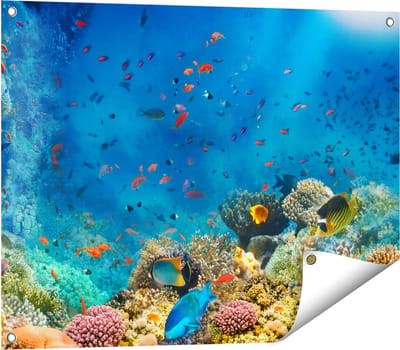 Gards Tuinposter Onderwater Vissen met Koraal in de Zee - 80x60 cm - Tuindoek - Tuindecoratie - Wanddecoratie buiten - Tuinschilderij