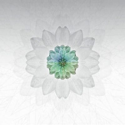 Tuomas Paukku - Description (LP)