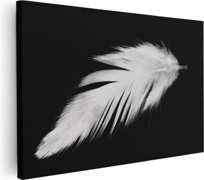 Artaza Canvas Schilderij Veer - 30x20 cm - Klein - Muurdecoratie Stilleven - Wanddecoratie Minimalistisch - Schilderijen Op Canvas