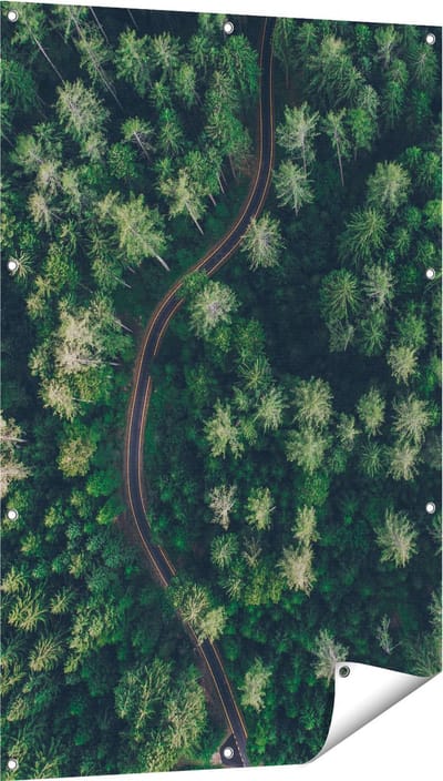Gards Tuinposter Weg Door Bos met Bomen - Bovenaanzicht - 80x120 cm - Tuindoek - Tuindecoratie - Wanddecoratie buiten - Tuinschilderij