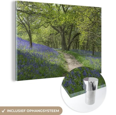 ® Glasschilderij 180x120 cm - Schilderij acrylglas - Een pad door de bossen van het Nationaal park North York Moors - Foto op glas - Muurdecoratie woonkamer - Wanddecoratie slaapkamer - Schilderijen