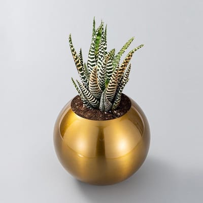 Stijlvolle Ronde Bloemenvase in Goud/Zwart van RVS, Decoratieve Vaas voor Tafelcentra bij Bruiloften, Feesten en Eetkamers