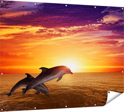Gards Tuinposter Twee Dolfijnen bij de Zonsondergang - 160x120 cm - Tuindoek - Tuindecoratie - Wanddecoratie buiten - Tuinschilderij