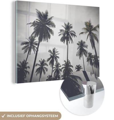 MuchoWow® Glasschilderij 40x30 cm - Schilderij acrylglas - Palmboom - Tropisch - Natuur - Foto op glas - Schilderijen