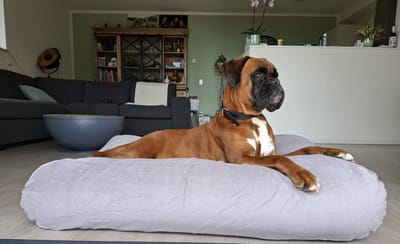 Dog's Companion - Hondenkussen / Hondenbed muisgrijs small ribcord - S - 70x50cm