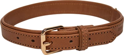 Animal Boulevard Ab31202 - Hals- En Leibanden - Hond - Ab Promenade Halsband Van Kunstleer Cognac-20mmx50-60cm - Maat: 20mmx50-60cm