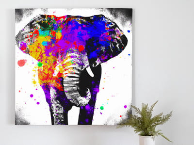 Colorful elephant explosion | Colorful Elephant Explosion | Kunst - 60x60 centimeter op Forex | Foto op Forex