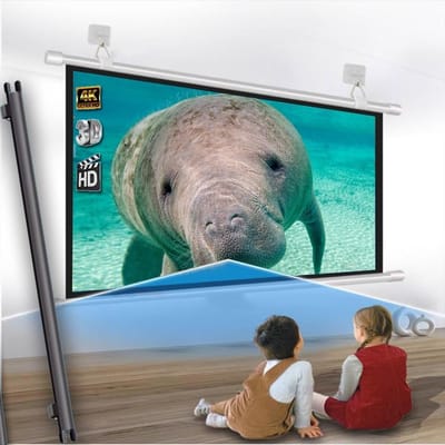 Projectiescherm Handmatig - Filmscherm - Thuisbioscoop Creëren - Kreukvrij Glasvezel - 40 inch - Wit