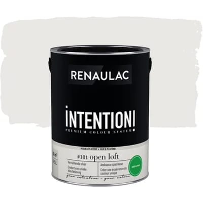 Renaulac Intention Muurverf - Extra Mat - Open Loft - 5l