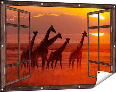 Gards Tuinposter Doorkijk Giraffe Kudde bij Zonsondergang - 120x80 cm - Tuindoek - Tuindecoratie - Wanddecoratie buiten - Tuinschilderij