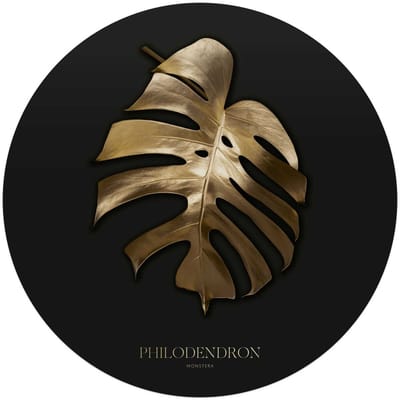 Glasschilderij Monstera Goud - Ø 70 - Glas - REINDERS