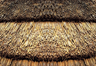 Fotobehang Straw Nature Texture | XL - 208cm x 146cm | 130g/m2 Vlies