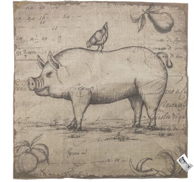 Shabby cloth varken
