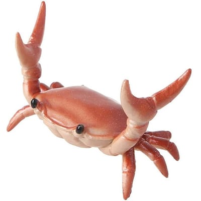 Makkelijk vast te houden Nuttige Gewichtheffen Krab Penhouder Heldere Kleur Krab Penhouder Simulatie voor Studenten rood