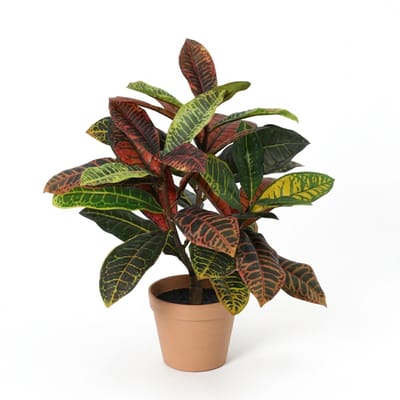 Florafy Kunstplant Croton 40cm - Kunstplanten voor binnen - Onderhoudsvrij