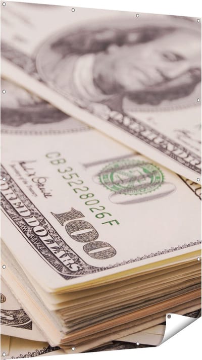 Gards Tuinposter Dollar Geld Briefjes - 120x180 cm - Tuindoek - Tuindecoratie - Wanddecoratie buiten - Tuinschilderij