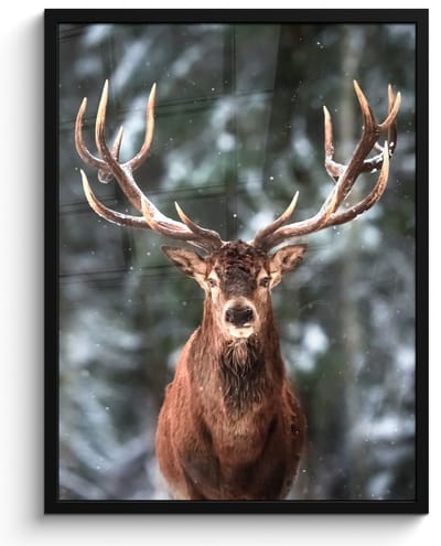 Poster in lijst - Fotolijst 50x70 cm - Posters - Hert - Winter - Sneeuw - Bos - Natuur - Dier - Posterlijst zwart - Decoratie - Wanddecoratie woonkamer - Muurdecoratie slaapkamer