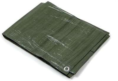 Afdekzeil met ogen - Beschermhoes Tarp - Tuinmeubelen beschermen - Tweekleurig en waterafstotend - 6 x 10 m - Groen/Blauw