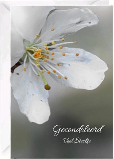 Premium Luxe Condoleance kaart - Rouwkaart - Sterktekaart - Met Oprechte Deelneming - Gevouwen kaart met envelop - 17x12cm