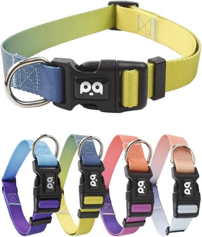 Verstelbare nylon hondenhalsband met gradiëntontwerp voor kleine honden