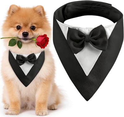 Tuxedo voor Honden, Elegante Hondenbandana met Strik voor Trouwen, Verjaardag en Engagement voor Kleine Honden (Hals: 20-30 cm/ Zwart)