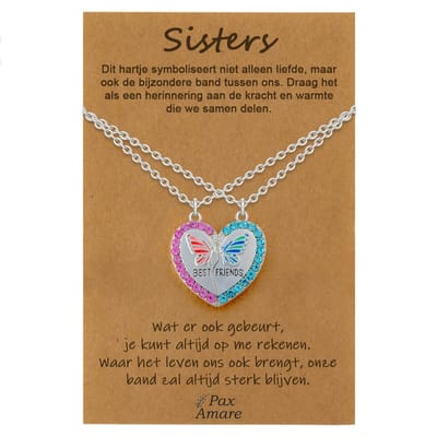 BFF Ketting voor 2 'Sisters' - Magnetisch Hartje met Vlinder - Vriendschapsketting op Cadeau Kaartje - 45cm + 5cm verstelbaar - Zilverkleurig - Best Friends Hanger - Pax Amare