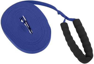 Dailygoods- Hondenlijn 15 meter - Trainingslijn Hond - Duurzaam - Schuim Handvat - Veilig Sluitsysteem - Geschikt voor Alle Maten