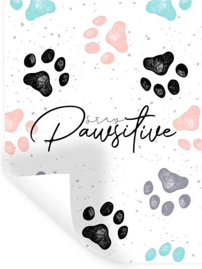 Muurstickers - Sticker Folie - Quotes - Spreuken - Hond - Stay pawsitive - 30x40 cm - Plakfolie - Muurstickers Kinderkamer - Zelfklevend Behang - Zelfklevend behangpapier - Stickerfolie