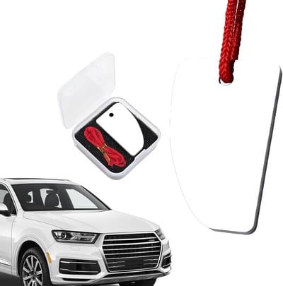 Ergonomische Ovale Auto Schilder Reparatie Tool, Professionele Auto Lak Schraper met Case voor Carrosserieherstel en Lakbescherming