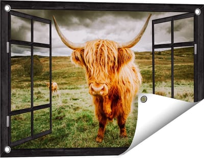 Gards Tuinposter Doorkijk Schotse Hooglanders in de Weide met Wolken - 60x40 cm - Tuindoek - Tuindecoratie - Wanddecoratie buiten - Tuinschilderij