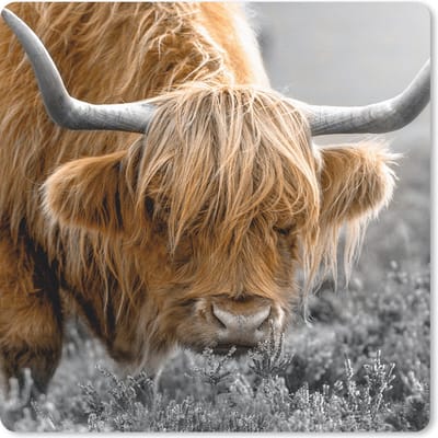 Muismat 20x20 cm - Mousepad Schotse hooglander - Planten - Zwart - Wit - Muismatten