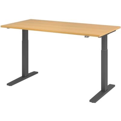 XMKA 16 G | Bureau - Beuken 160 x 80 Tafelhoogte I Elektrisch in hoogte verstelbaar