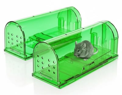 Famanu – Extra grote levende muizenval | Wezelval vangt ratten met luchtgaten | eenvoudige installatie in huis - garage of tuin - groen 1 stuk