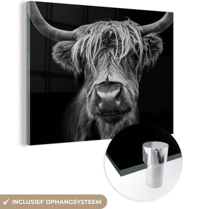 Glasschilderij Schotse hooglander - Koe - Zwart wit - Hoorns - Portret - Slaapkamer decoratie - Wanddecoratie glas - 160x120 cm - Foto op glas - Woonkamer - Glasplaat