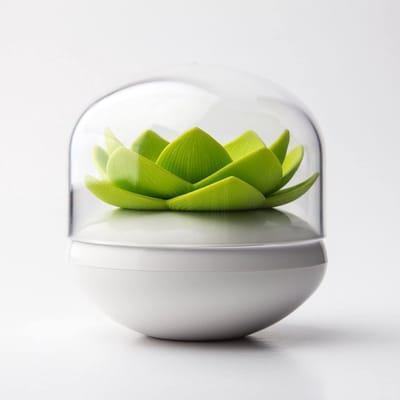 Dailygoods- Wattenstaafjeshouder Kunststof - Tandenstokerhouder - Multifunctionele Opslag - 8,4 x 8 cm - Wit/Groen - Tot 30 Stuks - Opslagdoos