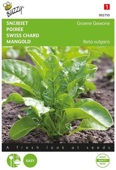 Snijbiet Groene Gewone 5 g - Beta vulgaris