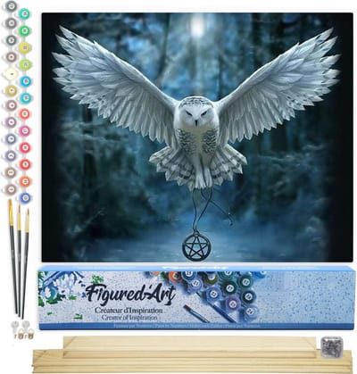 Figured'Art Schilderen op Nummer Volwassenen canvas Uil en kruis ketting - Handwerk acrylverf Kit DIY Compleet - 40x50cm met DIY houten lijst