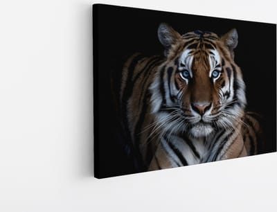 Saammp Canvas Schilderij - Tijger Met Blauwe Ogen - Natuur - Dieren - 30x20 - Foto op canvas - Wanddecoratie - muurdecoratie Woonkamer - Slaapkamer decoratie - Canvas Print