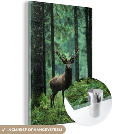 MuchoWow® Glasschilderij 120x180 cm - Schilderij acrylglas - Hert - Bomen - gewei - Foto op glas - Schilderijen